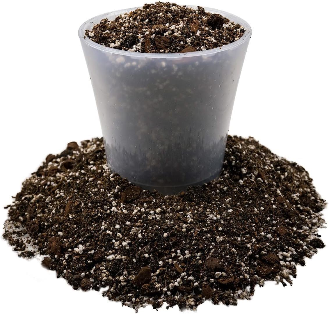 Coir and perlite growing medium in a plant container.