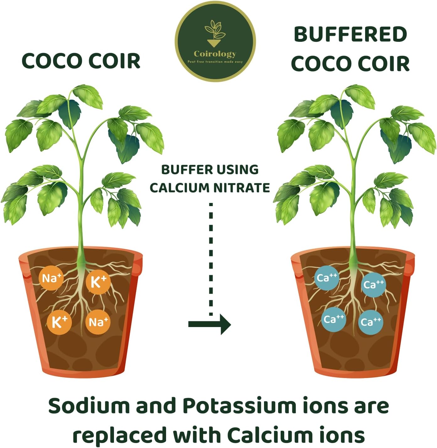 BUFFERED COCO COIR 5KG / 75L