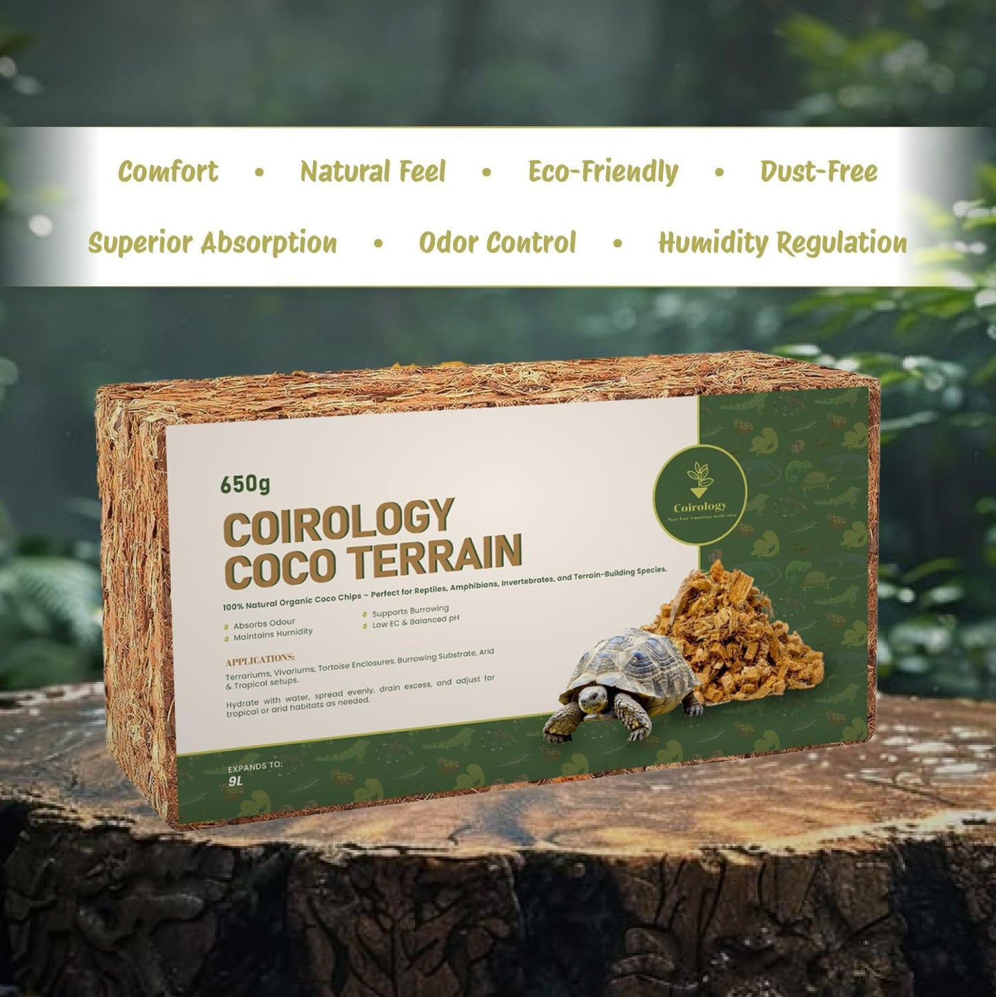 COIROLOGY COCO TERRAIN