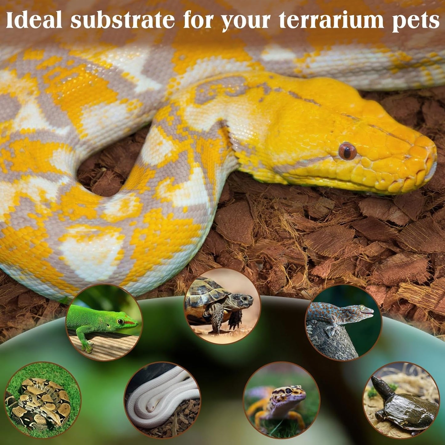 COIROLOGY COCO TERRAIN 650g