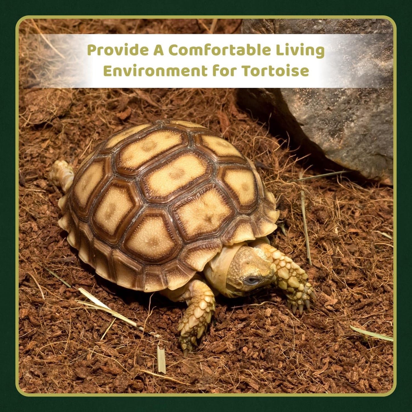 COIROLOGY COCO TERRAIN 650g (Pack of 2)