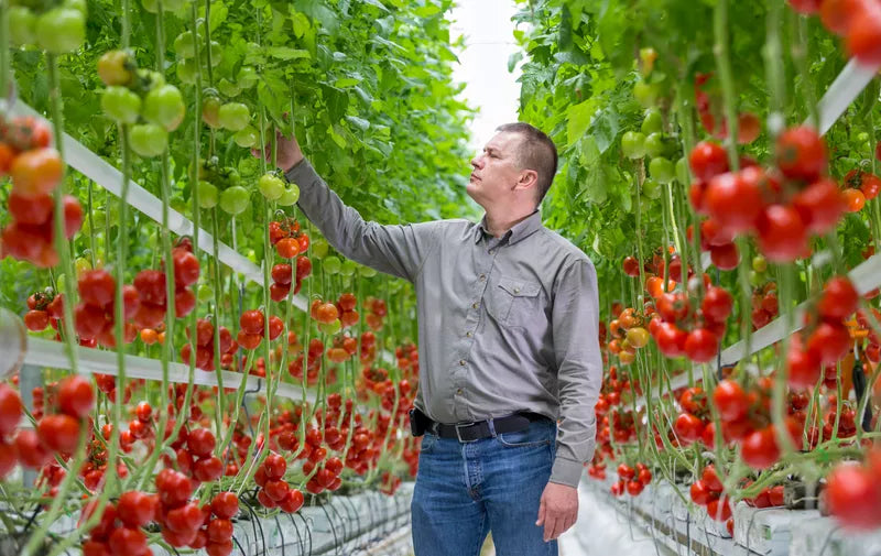 Hydroponics