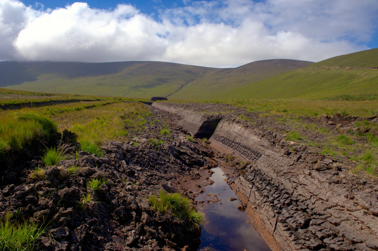 Peatlands and Climate Change