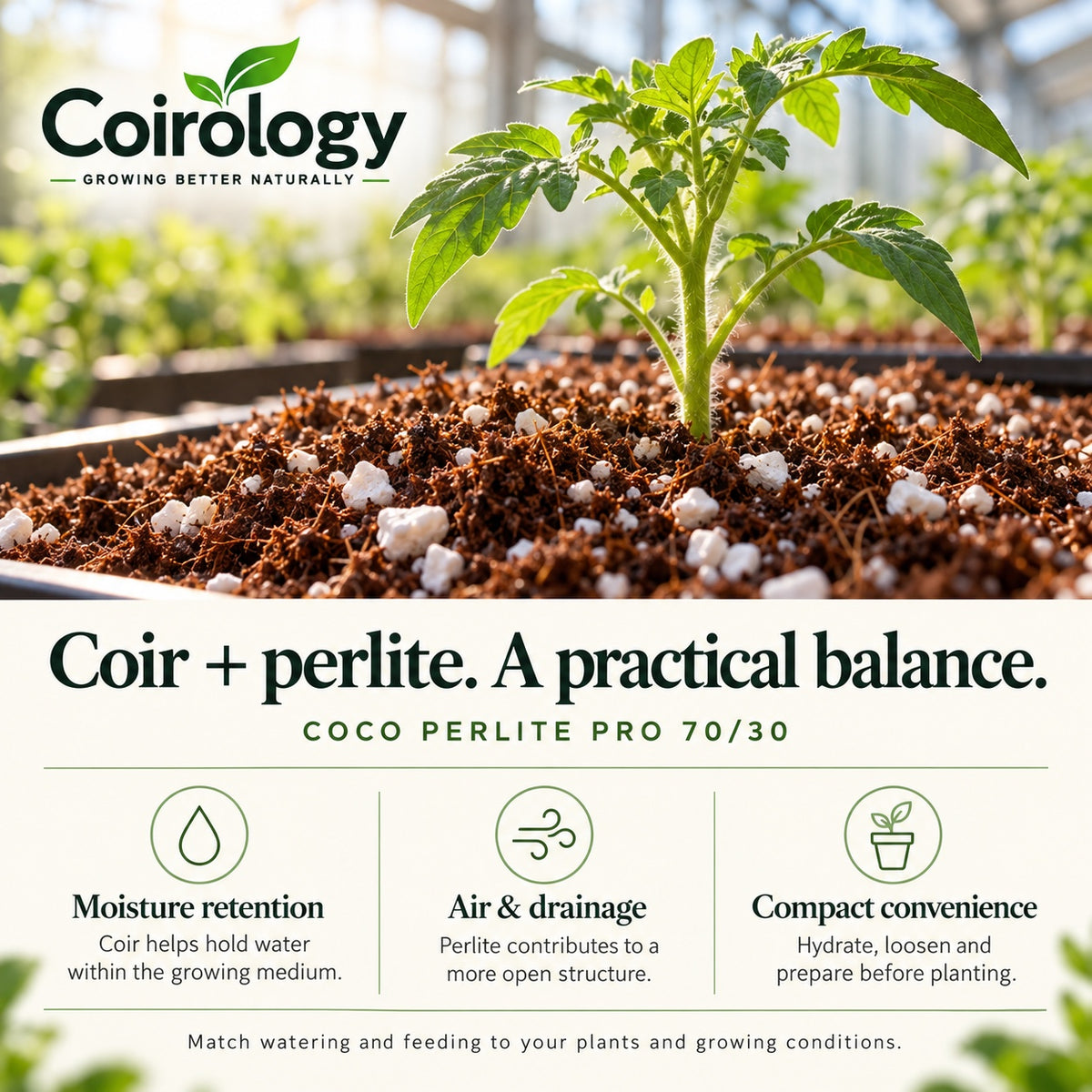 Coco Perlite Pro 70/30: coir moisture retention, perlite air and drainage, and compact preparation.