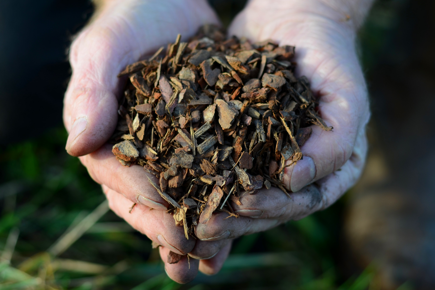 Peat-Free Compost