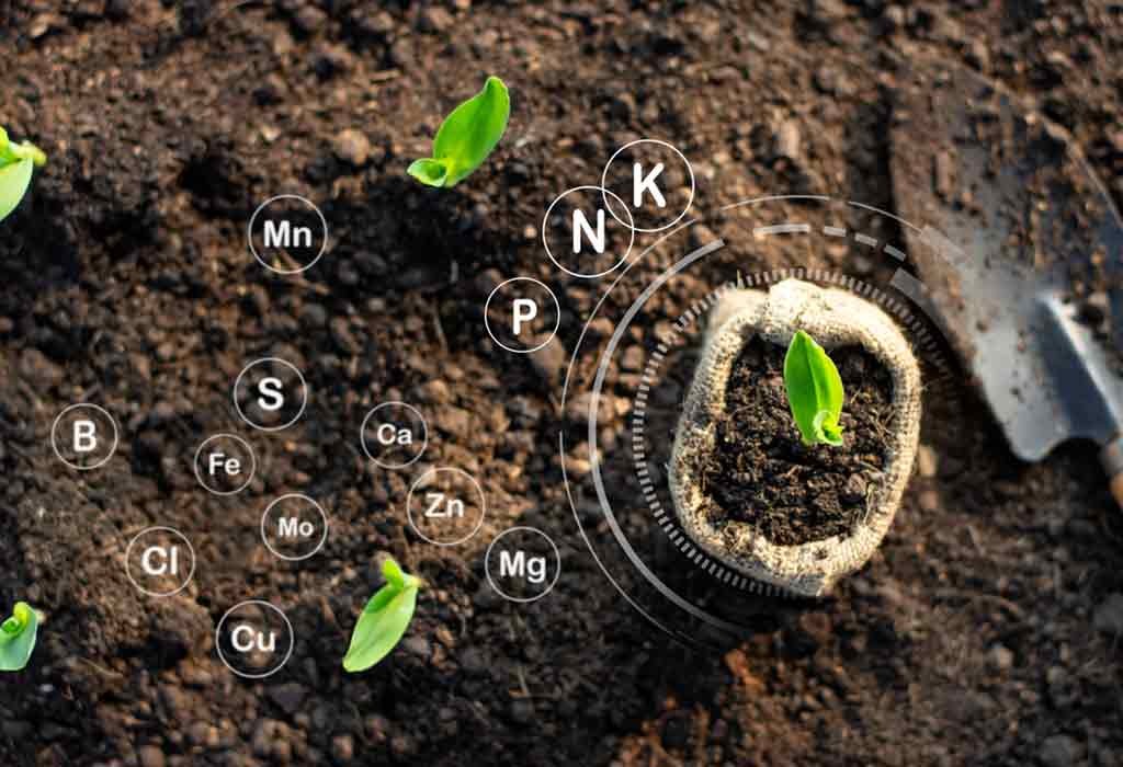 Soil Amendment