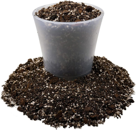 Coir and perlite growing medium in a plant container.
