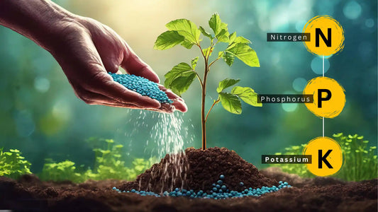 Illustration of fertiliser and a plant with nitrogen, phosphorus and potassium labels.