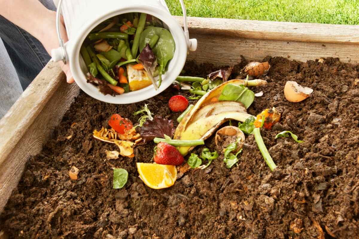 Vegetable scraps being added to a garden compost bin.