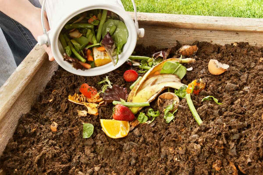 Home-made compost and coir: different jobs
