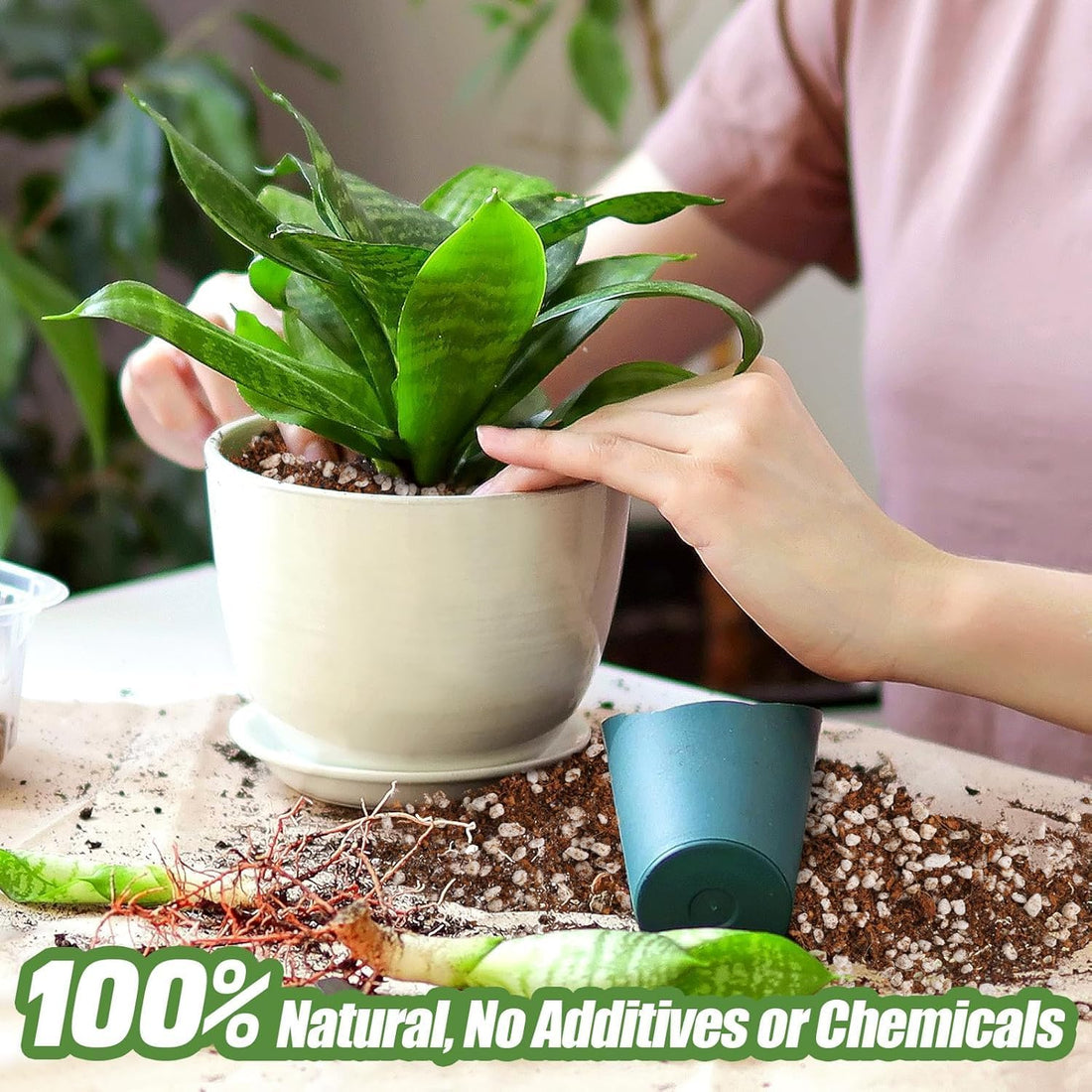 Preparing Your Garden for Winter - And Getting Ready for a Blooming Spring