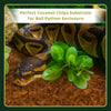 COIROLOGY COCO TERRAIN 650g
