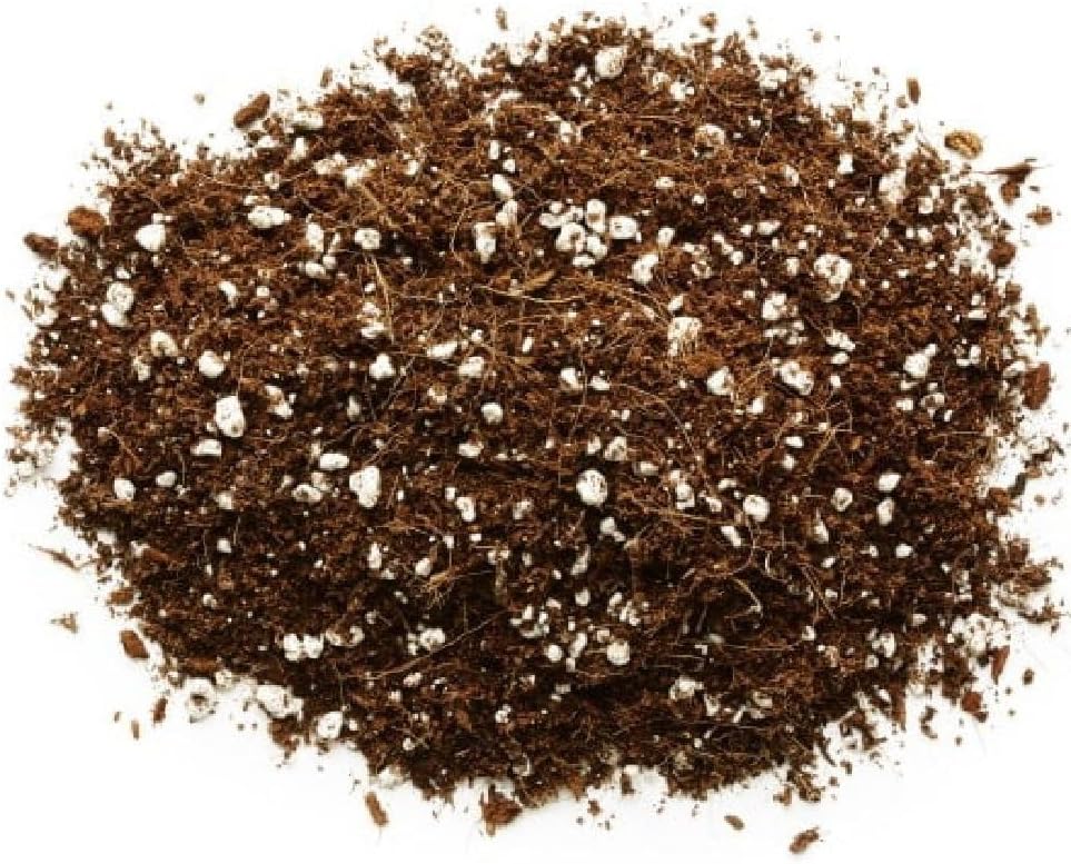 Close-up of the loose 70% coco coir and 30% perlite growing-medium blend