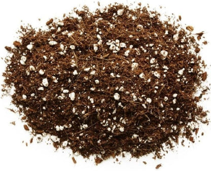 Close-up of the loose 70% coco coir and 30% perlite growing-medium blend