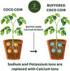 BUFFERED COCO COIR 5KG / 75L