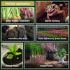 COCO COIR BLOCK 5KG - 210 Units