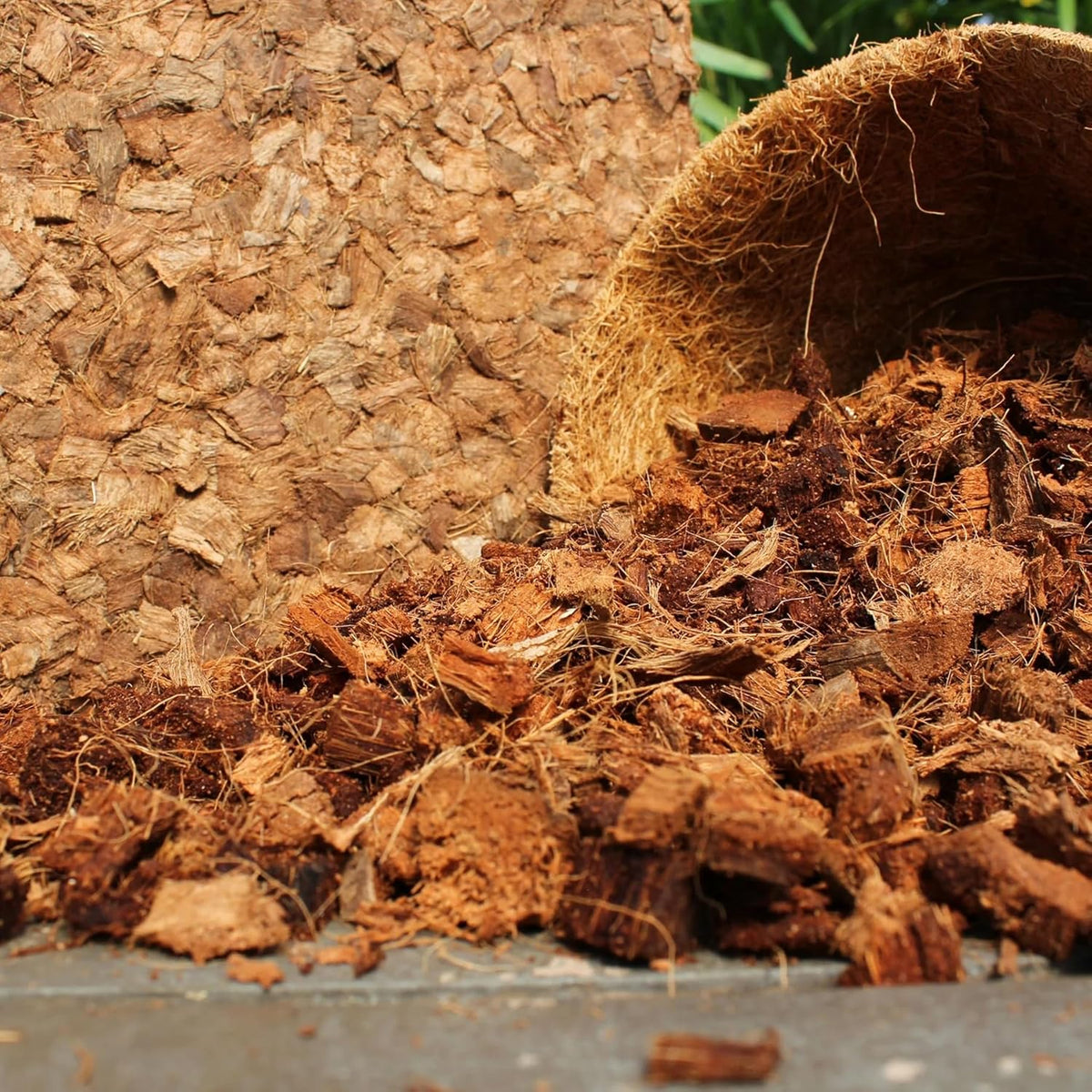 Coarse coconut-husk chips showing the chunky texture after loosening