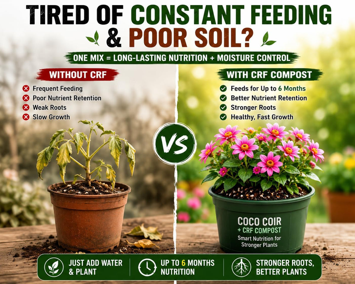 All Purpose Compost Block 5kg - Compressed Coco Coir Peat-Free Potting Soil Feeds for 6 Months, Controlled Release Fertiliser Expands to 75–80L - Lightweight Easy-to-Carry Growing Medium