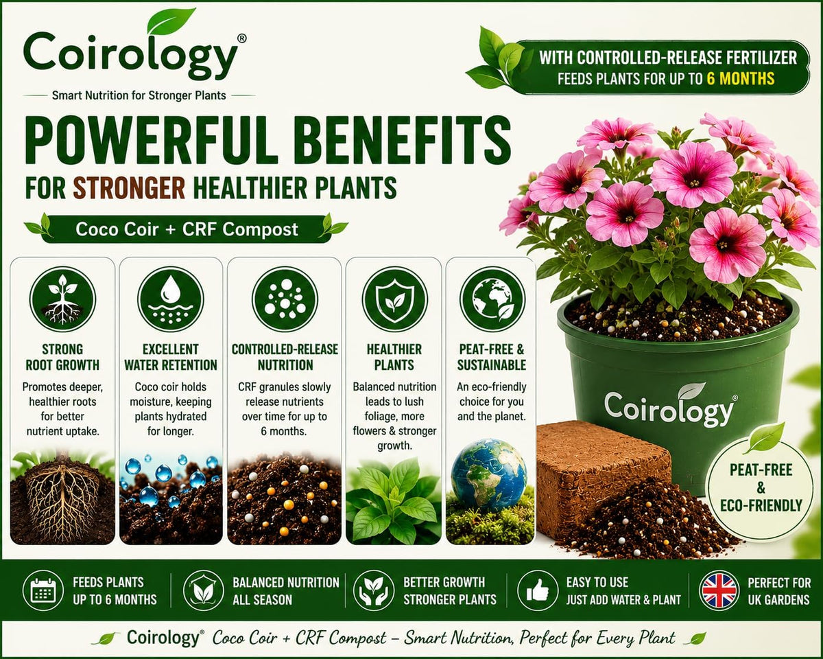 All Purpose Compost Block 5kg - Compressed Coco Coir Peat-Free Potting Soil Feeds for 6 Months, Controlled Release Fertiliser Expands to 75–80L - Lightweight Easy-to-Carry Growing Medium