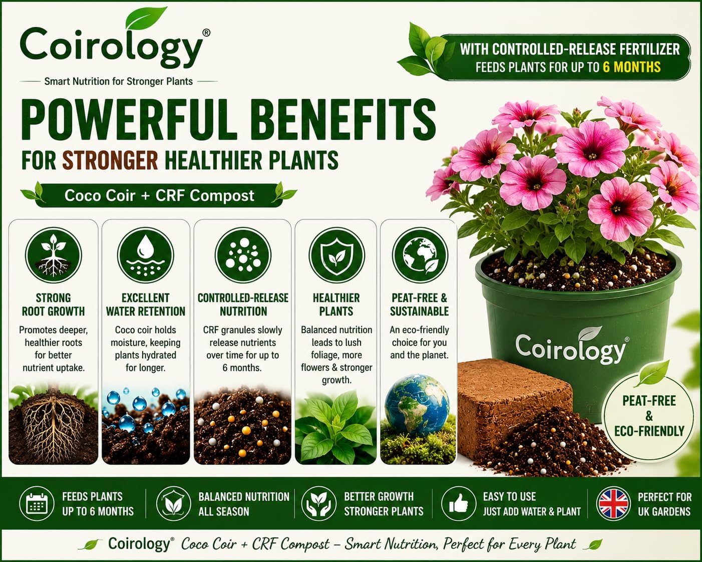 All Purpose Compost Block 5kg - Compressed Coco Coir Peat-Free Potting Soil Feeds for 6 Months, Controlled Release Fertiliser Expands to 75–80L - Lightweight Easy-to-Carry Growing Medium