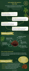COCO COIR BLOCK 5KG - 90 Units
