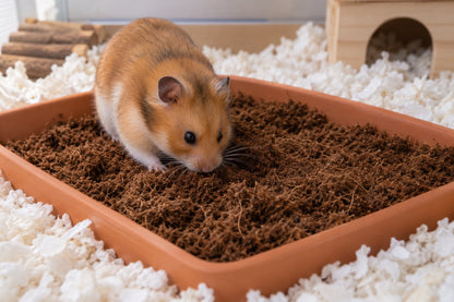 Illustration of a hamster exploring fine coir in a separate tray alongside paper bedding