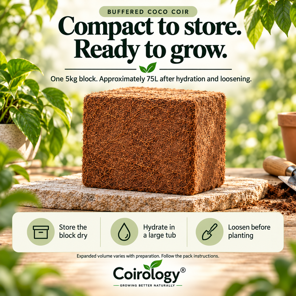 One 5kg buffered coco coir block: dry storage, hydration and loosening before planting