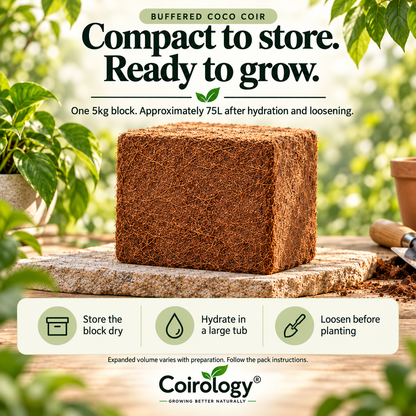 One 5kg buffered coco coir block: dry storage, hydration and loosening before planting