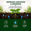 Illustration of perlite particles and pore spaces in a planted growing-medium blend