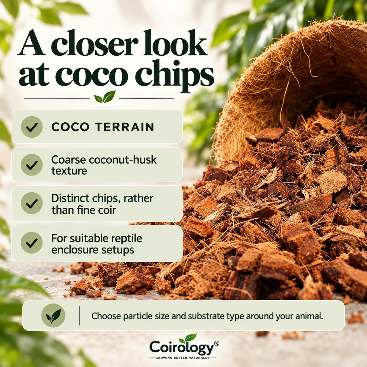 A closer look at coco chips — COCO TERRAIN; Coarse coconut-husk texture; Distinct chips, rather than fine coir