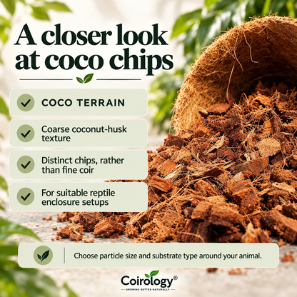 A closer look at coco chips — COCO TERRAIN; Coarse coconut-husk texture; Distinct chips, rather than fine coir