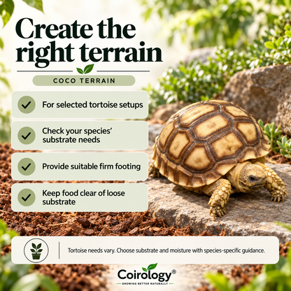 Create the right terrain — COCO TERRAIN; For selected tortoise setups; Check your species’ substrate needs