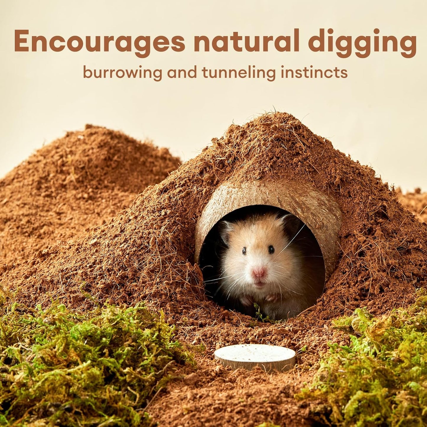 Hamster Bedding & Digging Substrate 650g – Natural Coco Coir for Burrowing, Enrichment & Odour Control (Expands to 10L) | Peat-Free, Low-Dust – (Pack of 30)