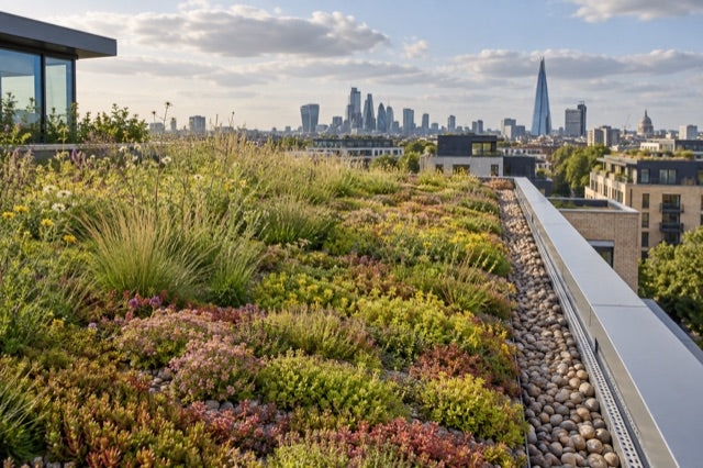 Planted green roof